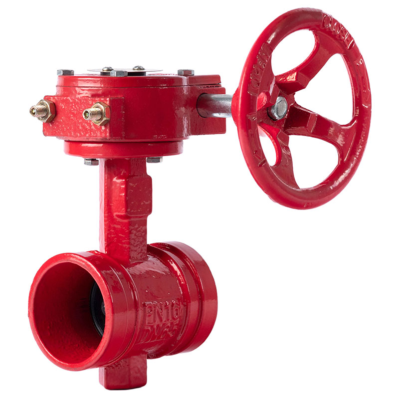 Van bướm có rãnh Worm Gear
