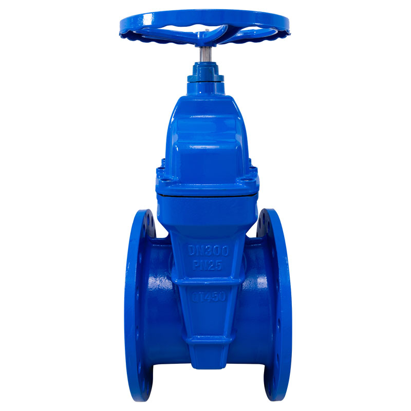 Van cổng mặt bích thân không tăng PN25