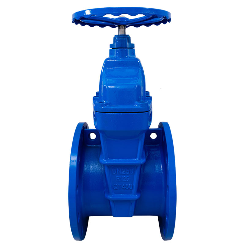 Van cổng mặt bích thân không tăng PN25