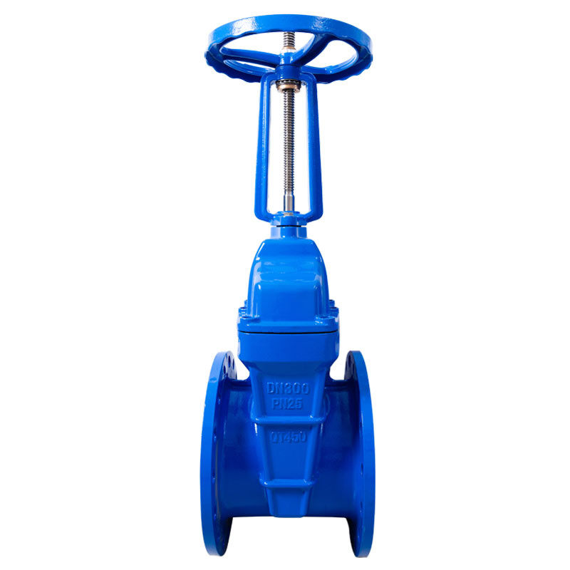 Van cổng mặt bích thân nâng PN25